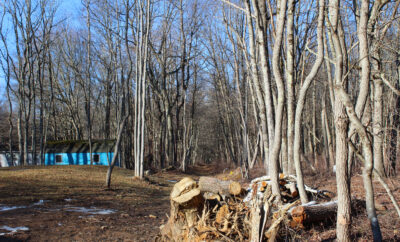 Hiking Adventures Near Indian Mountain Lake Cabins